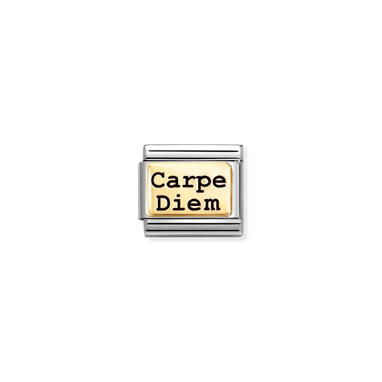 Carpe Diem Link Charm for Composable Bracelet - Silver